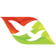 airline